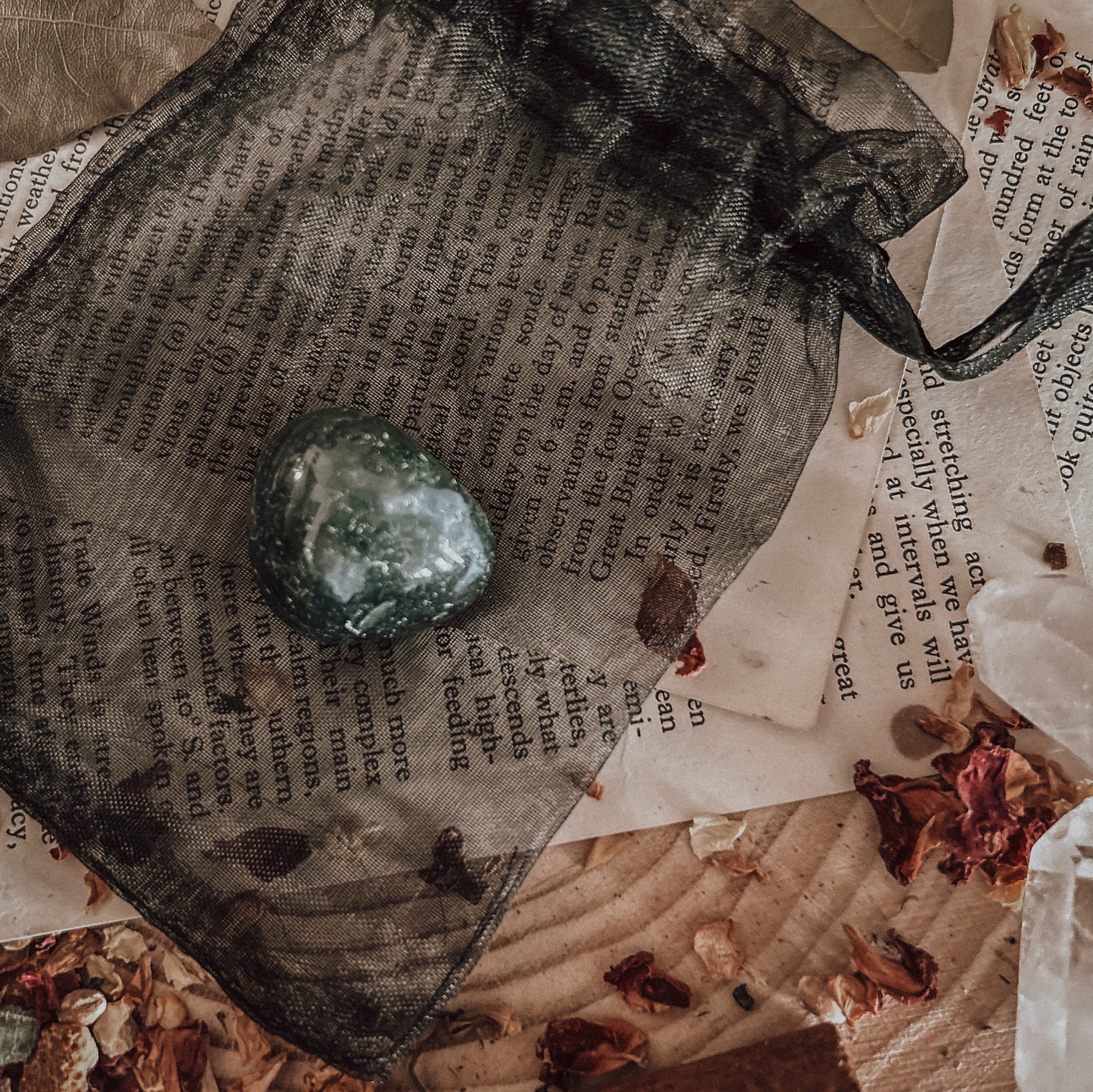 Green Witch Bundle