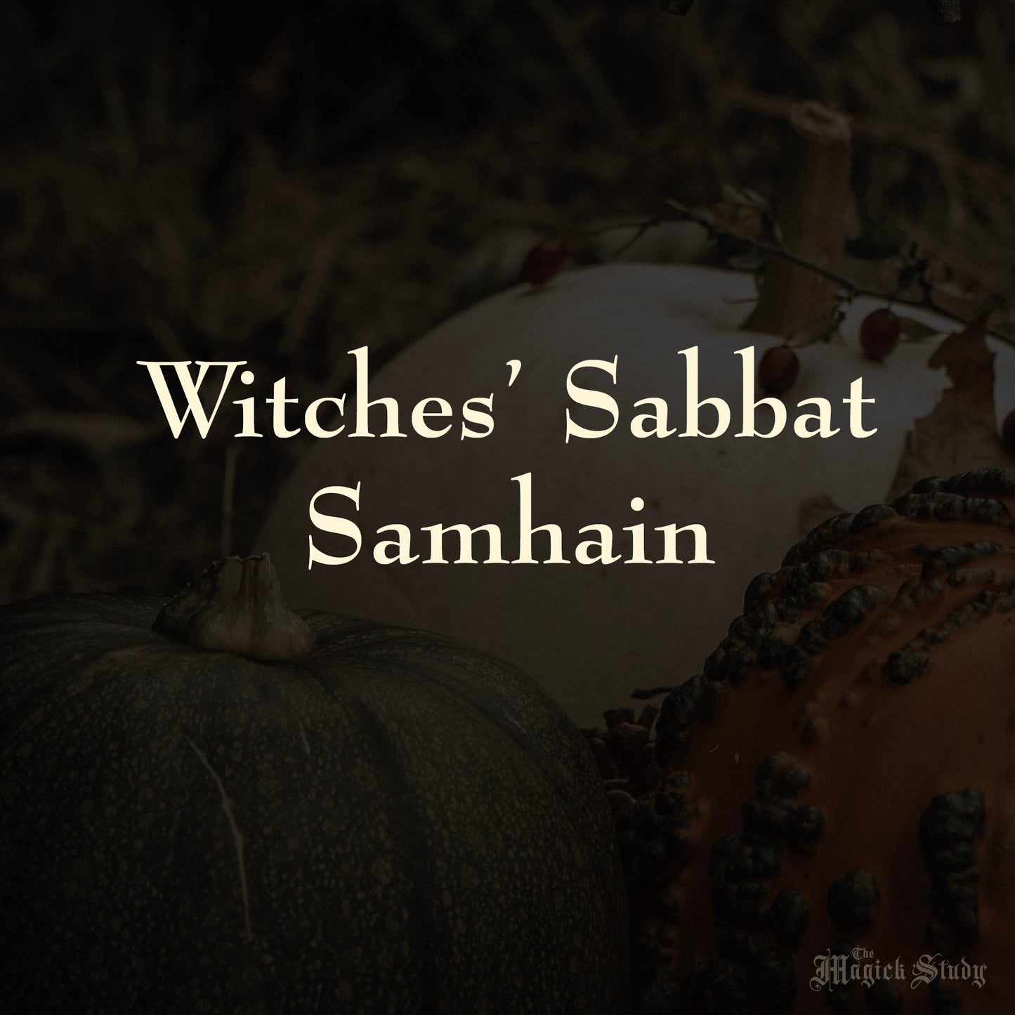 Witches' Sabbat - Samhain - PDF Download