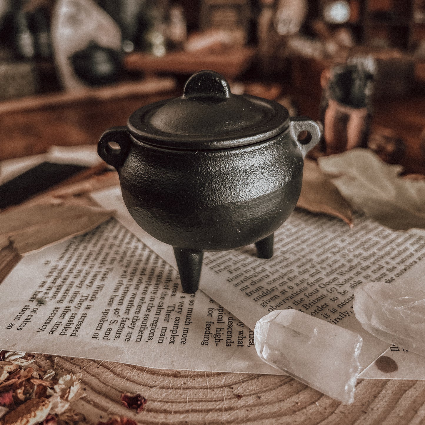 Protective Witch Bundle