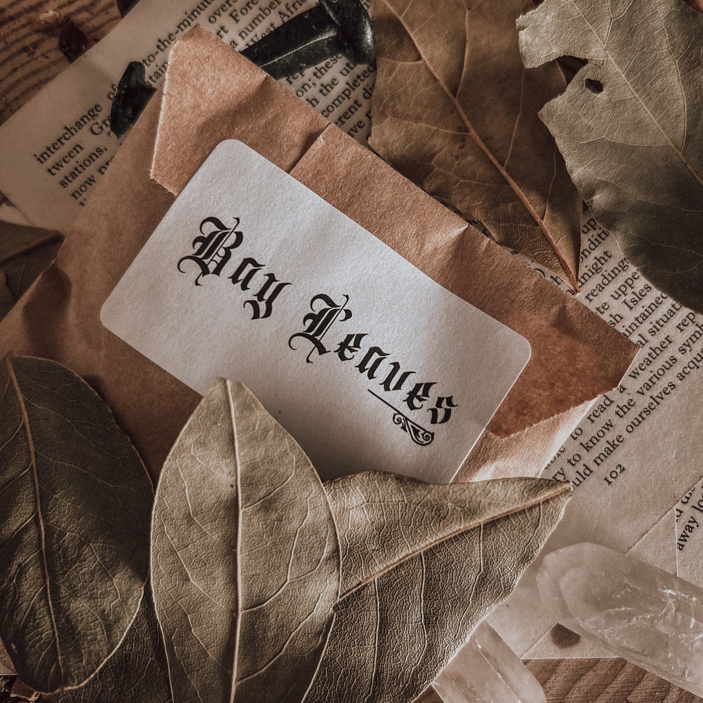 Protective Witch Bundle
